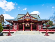 写真1